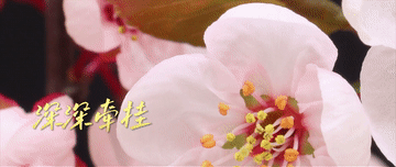 1487baf3678a284963b26ecbcbd46a17.gif